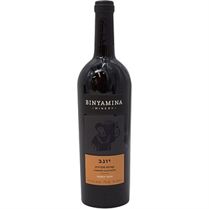 ザンダーゾウ　マリアーノ　ドリスヴァンノッテン　バケラ　ヴィズヴィム Dries Van Noten｜ドリス・ヴァン・ノッテン（メンズ）の通販 - ZOZOTOWN